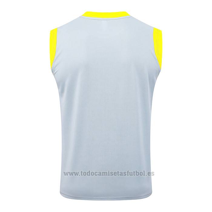 Camiseta de Entrenamiento Borussia Dortmund Sin Mangas 2025-2026 Gris